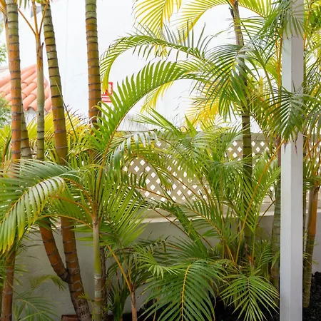 Pamro - Jaccuzi - Fitness Area - Free Wifi - Pool - Modern & Comfortable - Sunnygolf * Maspalomas (Gran Canaria)